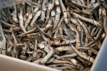 Similar image 8013698