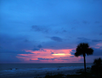 Similar image 8013700