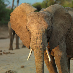 Similar image 8013707