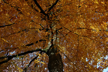 Similar image 8013709