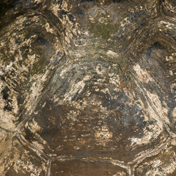 Similar image 8013710