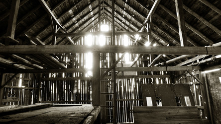 Similar image 8013711