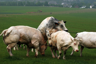 Similar image 8013712