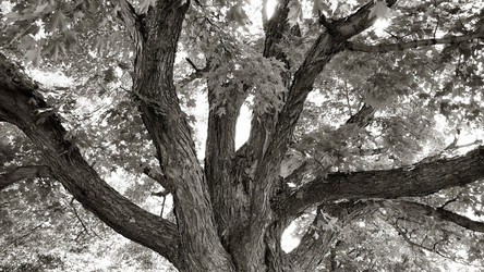 Similar image 8013714