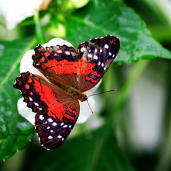 Similar image 8013719