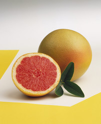 Similar image 8013720