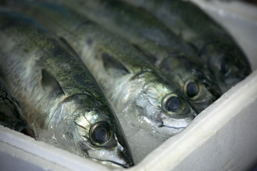 Similar image 8013725