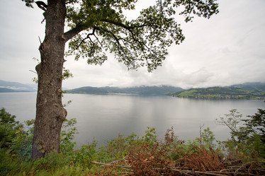 Similar image 8013729