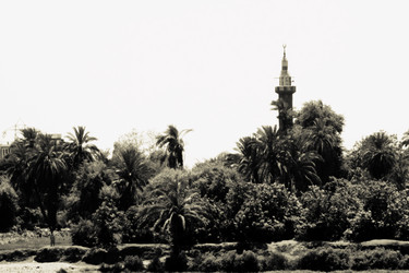 Similar image 8013739