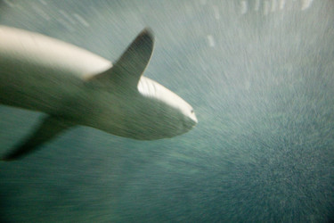 Similar image 8013740