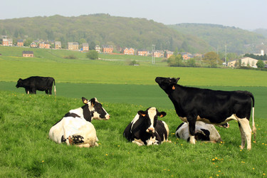 Similar image 8013748