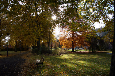 Similar image 8013749