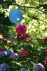 Similar image 8013751