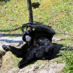 Similar image 8013771