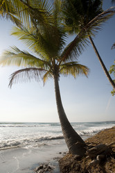 Similar image 8013772