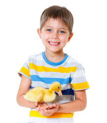 Similar image 8013776