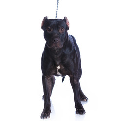 Similar image 8013788