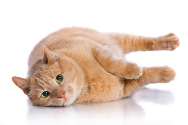 Similar image 8013789