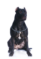 Similar image 8013790