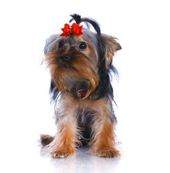 Similar image 8013802