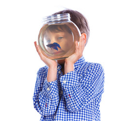 Similar image 8013809