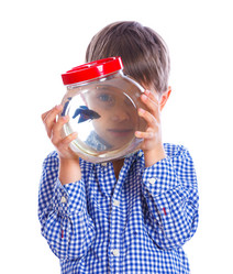 Similar image 8013813