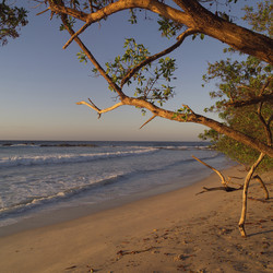 Similar image 8013820