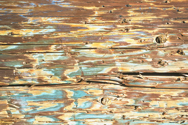 Similar image 8013823