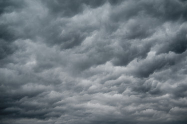 Similar image 8013826