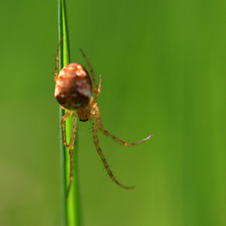 Similar image 8013832