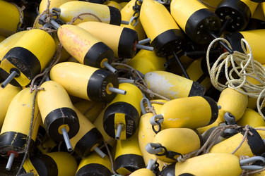 Similar image 8013833