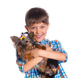 Similar image 8013861