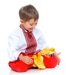 Similar image 8013864