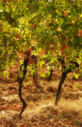 Similar image 8013879