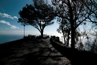 Similar image 8013883