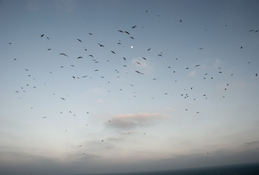 Similar image 8013885