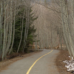 Similar image 8013887