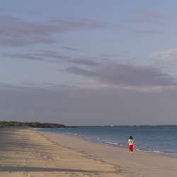 Similar image 8013891