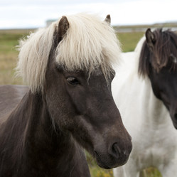 Similar image 8013893