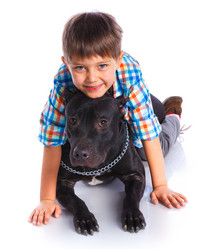 Similar image 8013905