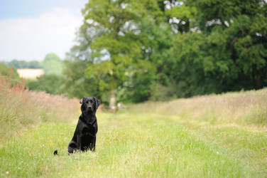 Similar image 8013915