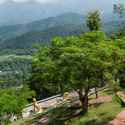 Similar image 8013919