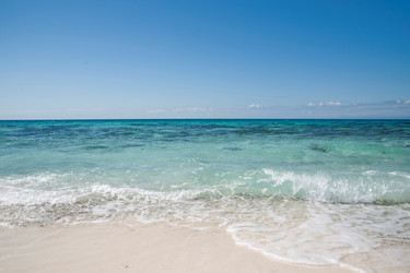 Similar image 8013921