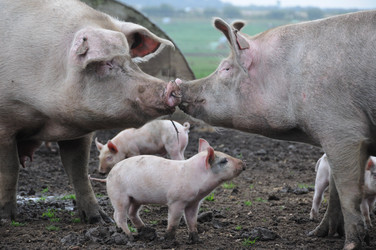 Similar image 8013926