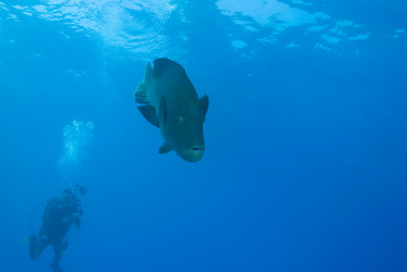 Similar image 8013927