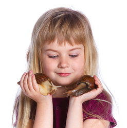 Similar image 8013942