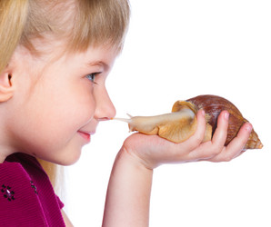 Similar image 8013962