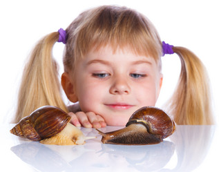 Similar image 8013967