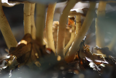 Similar image 8013981