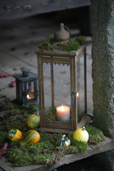 Similar image 8013983